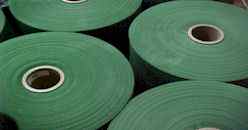 green rolls